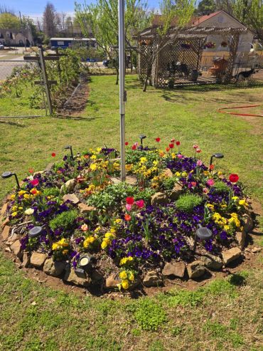 Circular flower garden bed with colorful blooms