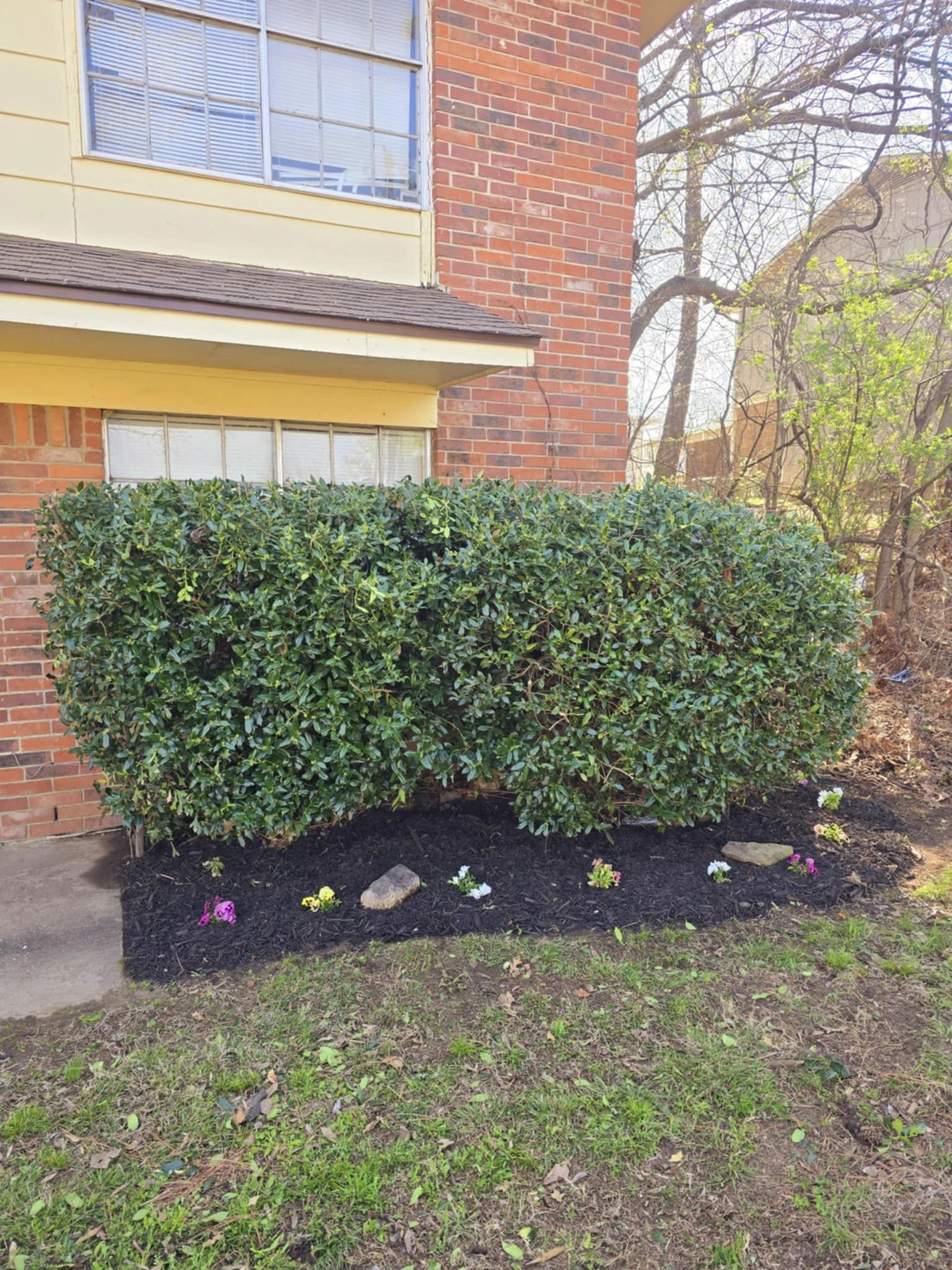 Brick building with hedge shrubs and flowering plants